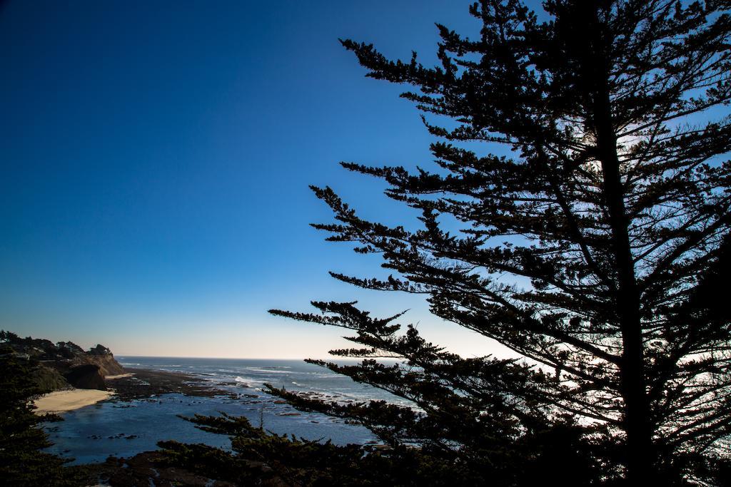 Seal Cove Inn Moss Beach Exterior photo