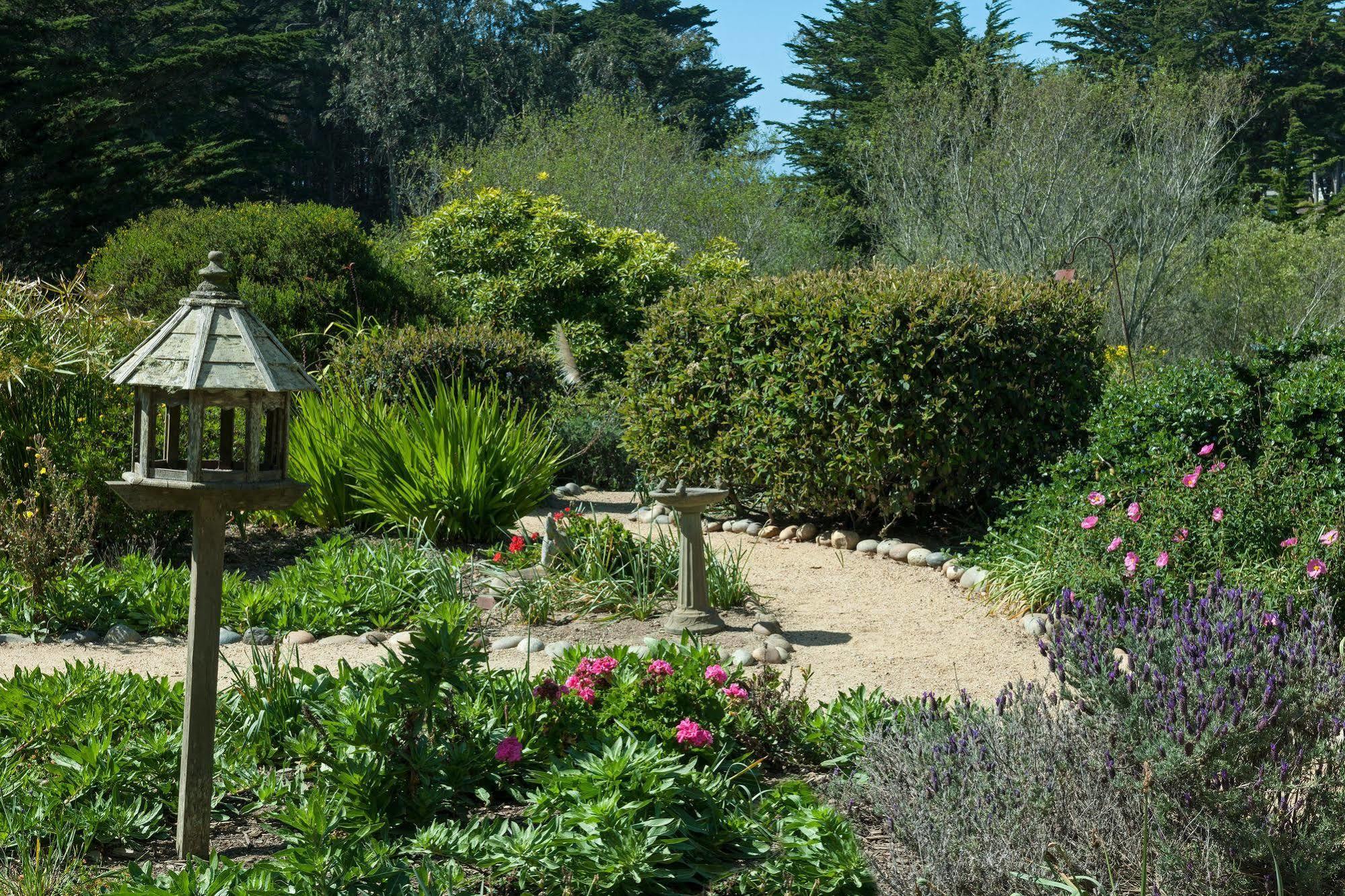 Seal Cove Inn Moss Beach Exterior photo